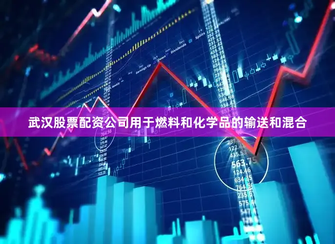 武汉股票配资公司用于燃料和化学品的输送和混合